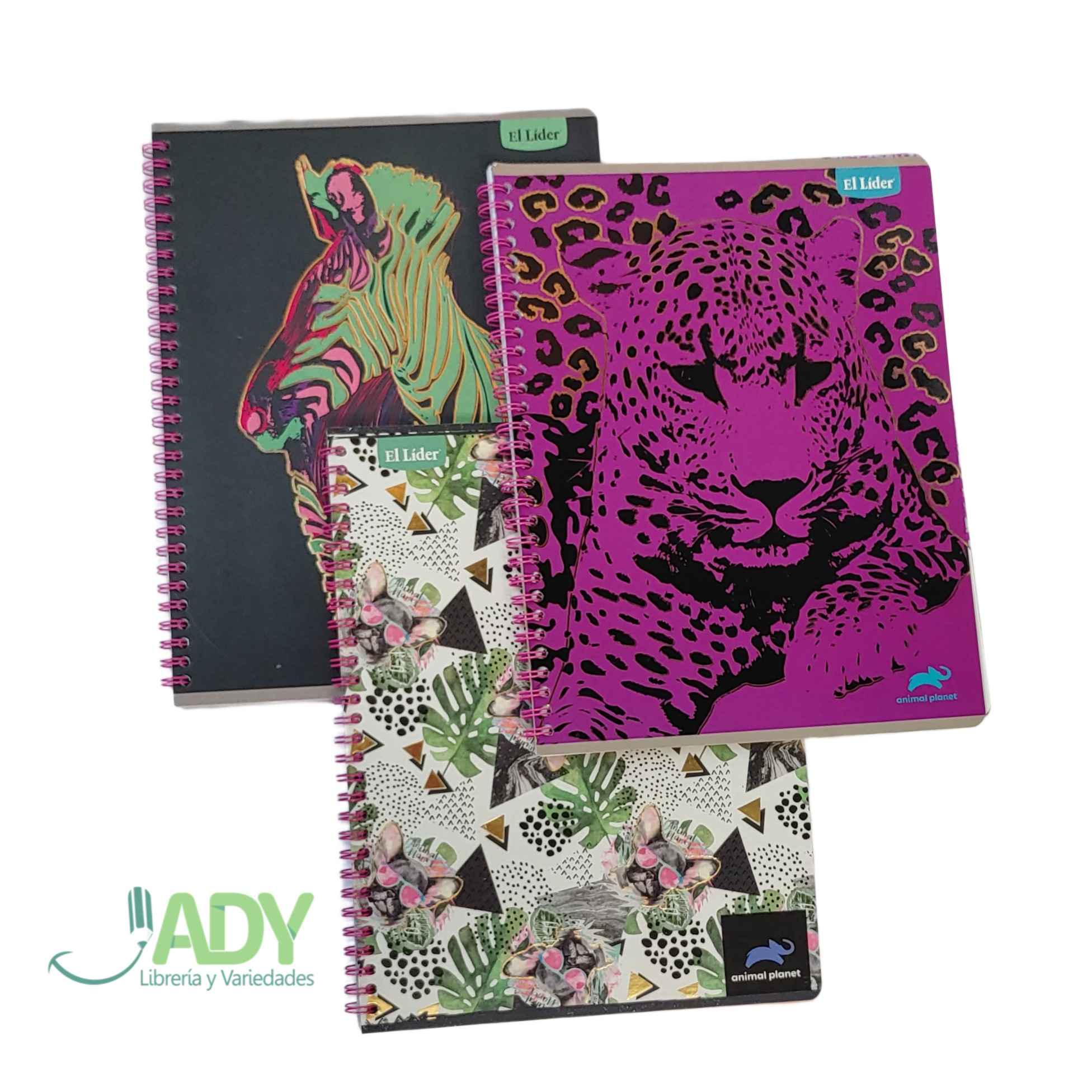 Cuaderno_lider2_2_11zon